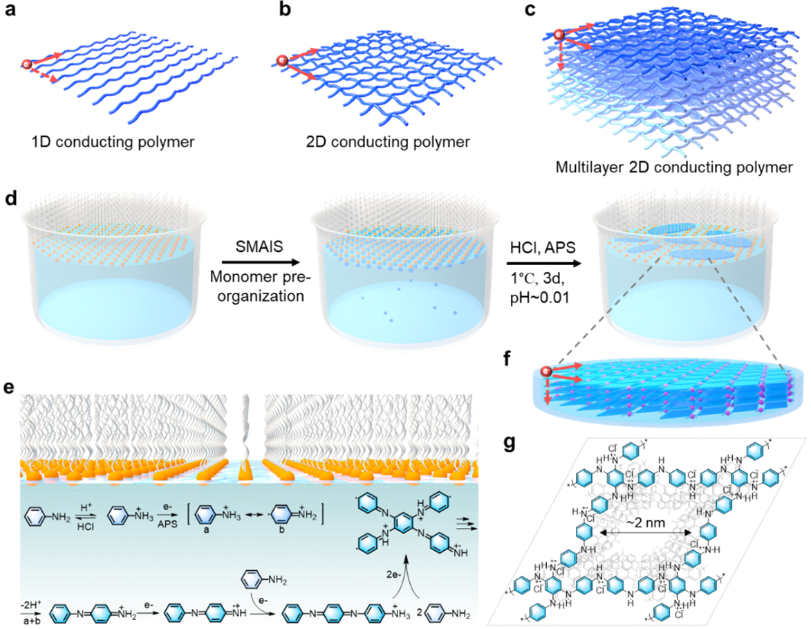 Schematic of the on-water surface synthesis procedure for 2DPANI.