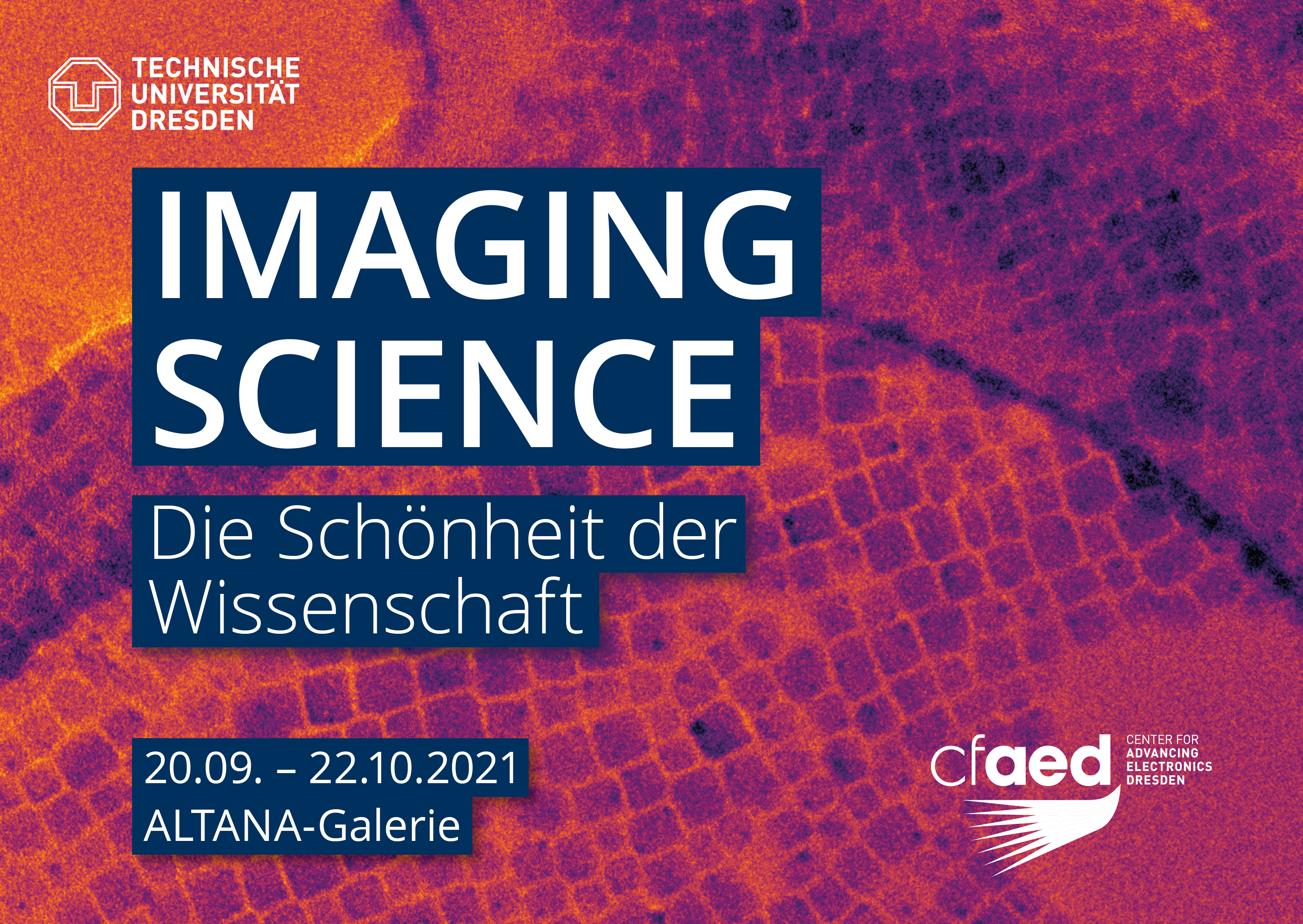 scientific image with text: Imaging Science. Die Schönheit der Wissenschaft.