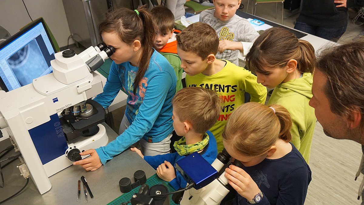 JuniorDoktor2017